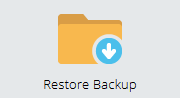 Restore Backup Icon